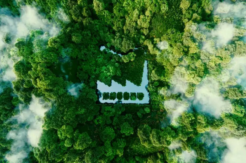 Aerial view of a lush forest with a factory-shaped clearing surrounded by mist.